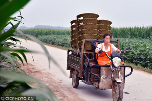 河北肥鄉 藤椅編制助農增收