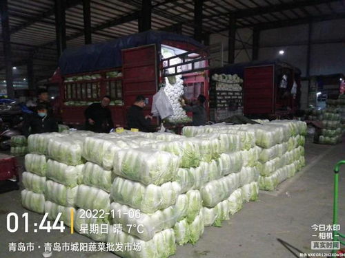 青島五大批發(fā)市場保障市民“菜籃子”供應(yīng)，零售價(jià)格持續(xù)走低